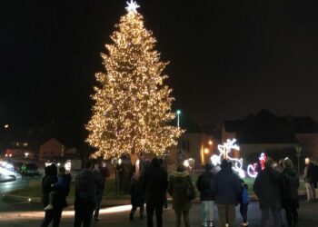 Qui a fait le sapin de Bordeaux ?