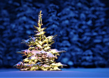 Qui a inventé la tradition du sapin de Noël ?