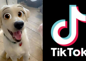 Qui a le plus de j'aime sur TikTok ?