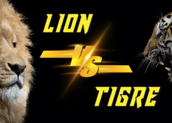 Qui est le plus fort entre le tigre et le lion ?