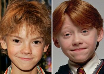 Qui joue le rôle d et ?