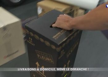 Qui livre les colis Chronopost ?