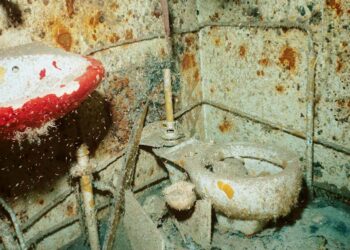 Qui y A-t-il dans une salle de bain ?