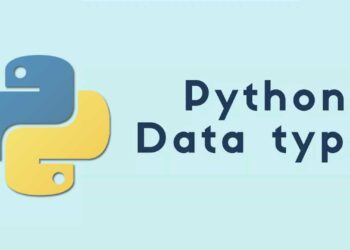 What are the 5 main data types?
