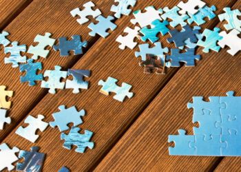 What type of person likes jigsaw puzzles?