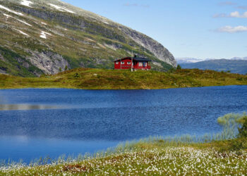 8 conseils de gestion des eaux usées pour les maisons hors réseau
