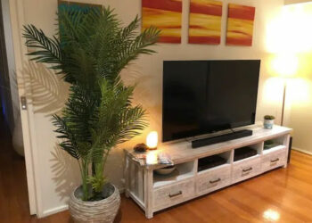 Les meilleurs conseils pour décorer votre bureau avec des plantes artificielles