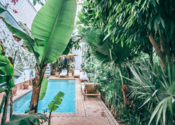 6 façons différentes d’améliorer votre piscine creusée