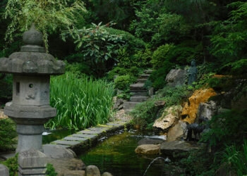 Conseils pour construire un magnifique jardin zen dans votre cour