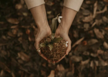 Ce qu&rsquo;il faut savoir pour tirer le meilleur parti des travaux de jardinage