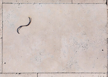 Quand choisir des carreaux de travertin plutôt que des pavés de travertin pour une utilisation en extérieur