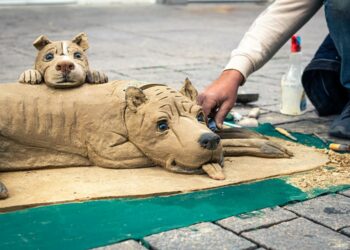 idées de modelage d’argile [All You Need To Know]