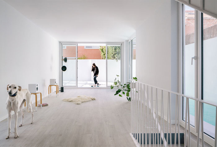 maison de lévrier murado et elvira 5