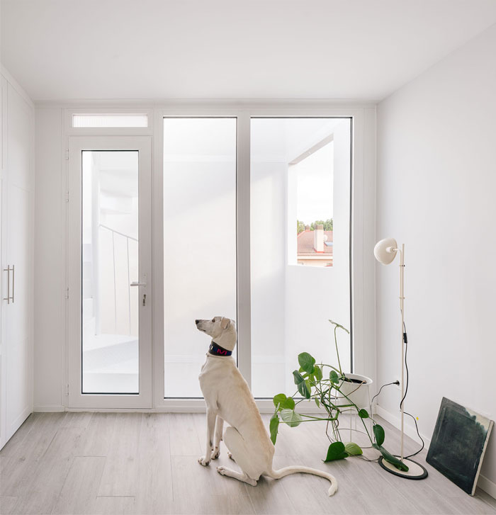 maison de lévrier murado et elvira 7