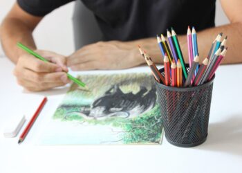 Pouvez-vous utiliser des crayons de couleur sur toile |  Ce que vous devez savoir