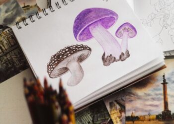 Comment utiliser les crayons de couleur ?  |  Tout ce que tu dois savoir