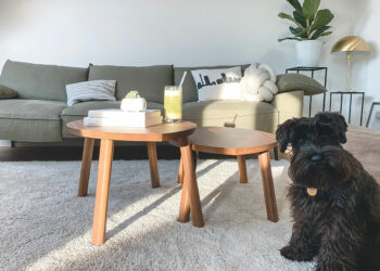 Comment embaucher une bonne entreprise de nettoyage de tapis