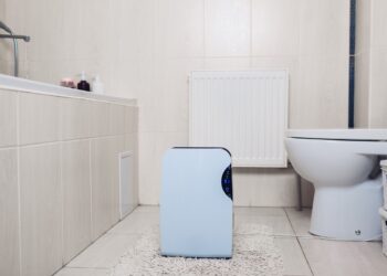 consultez-vous un deshumidificateur dans la salle de bain [All You Need To Know]