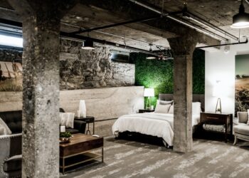 Quel est le meilleur pour un climatiseur ou un déshumidificateur de chambre au sous-sol ?