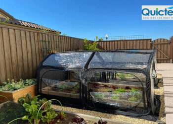 L’automne arrive – Conseils pour prévenir les allergies lors du jardinage intérieur