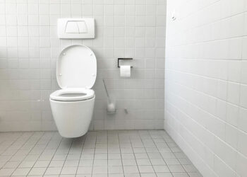 Comment acheter les meilleures toilettes pour votre maison