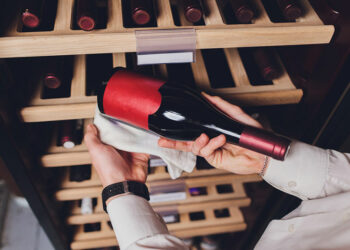 Réfrigérateur à vin ou cave à vin : quel est le meilleur choix pour une maison moderne ?