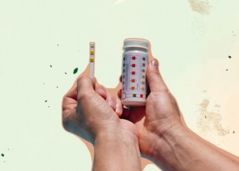 Les bandelettes de test de piscine sont-elles précises ?  |  Ce que vous devez savoir