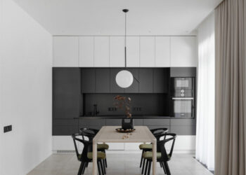 Appartement vert par les architectes ZROBIM