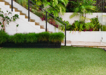 Combien coûtent les services de peinture de pelouse ?