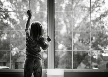 Conseils de nettoyage des vitres pour le propriétaire