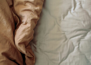 Conseils pour éloigner les punaises de lit de votre maison