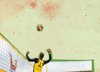 Pouvez-vous utiliser un filet de volley-ball d’arrière-cour pour le volley-ball aquatique |  Tout ce que tu dois savoir