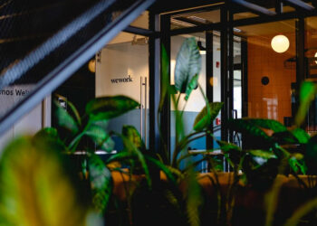 Plantes d’intérieur : comment faire fleurir votre bureau