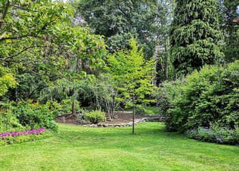 7 choses à changer dans votre jardin et augmenter la valeur de votre maison