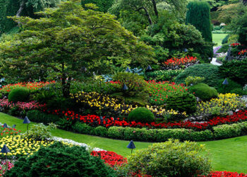 Comment éviter les erreurs de base lors de l’aménagement paysager ?