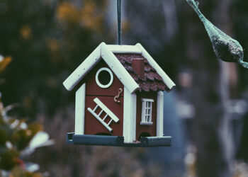 L’importance d’avoir une assurance habitation adéquate