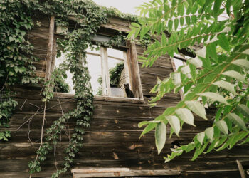 Comment utiliser le bois pour l’intégrer à l’extérieur du bâtiment ?