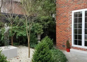 Comment les fenêtres à double vitrage améliorent votre maison