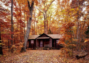 5 raisons d’investir dans un système solaire hors réseau