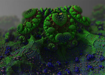 Raisons pour lesquelles les moisissures se propagent dans votre salle de bain