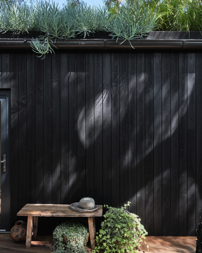 une petite maison passive construite autour d'un arbre 004