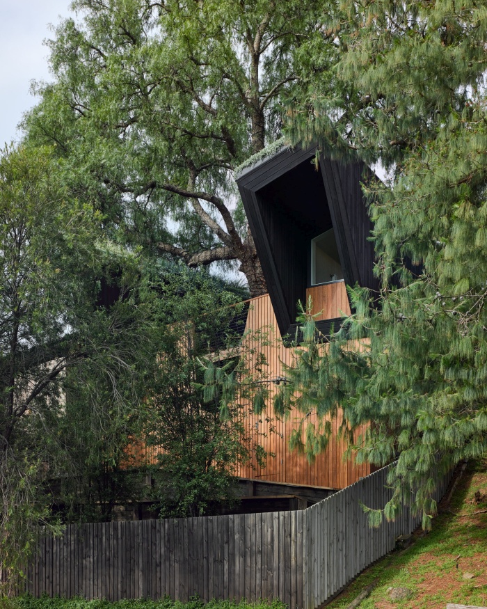 une petite maison passive construite autour d'un arbre 017