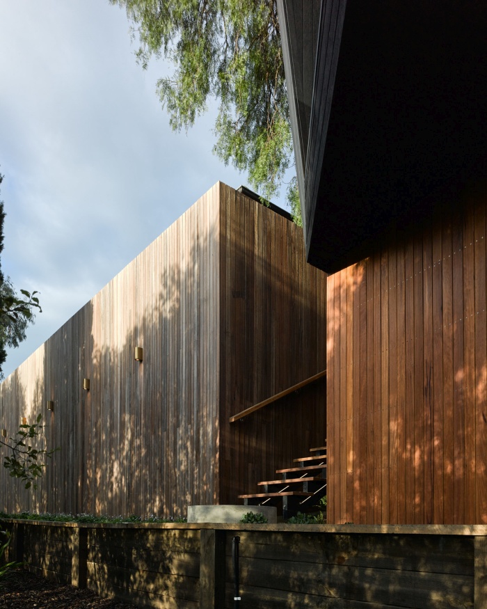 une petite maison passive construite autour d'un arbre 018