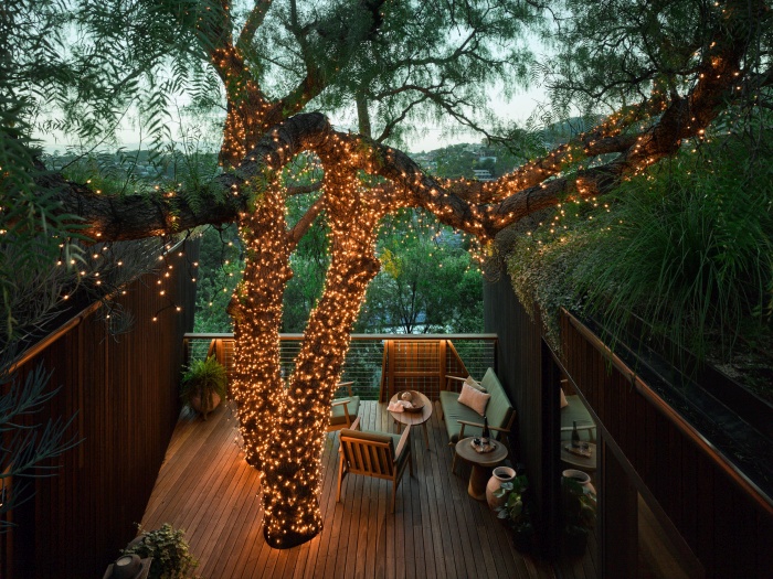 une petite maison passive construite autour d'un arbre 019