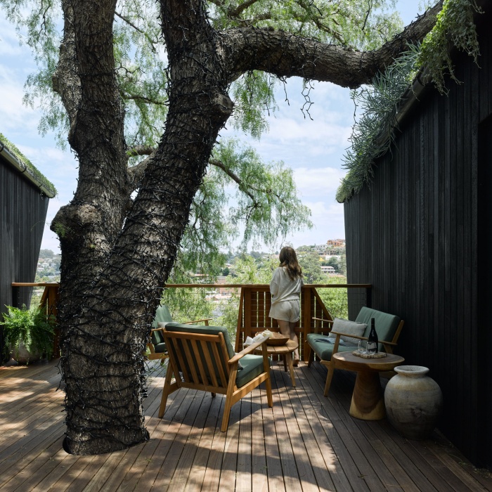 une petite maison passive construite autour d'un arbre 001