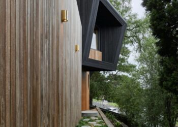 Une petite maison passive construite autour d’un arbre
