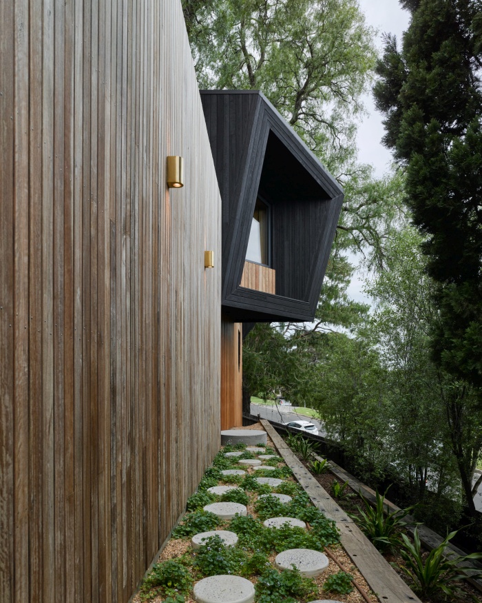 une petite maison passive construite autour d'un arbre 006