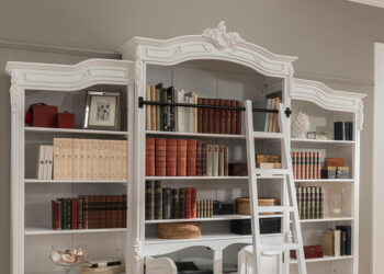 Différents styles de vitrines améliorent considérablement l’amélioration de l’habitat